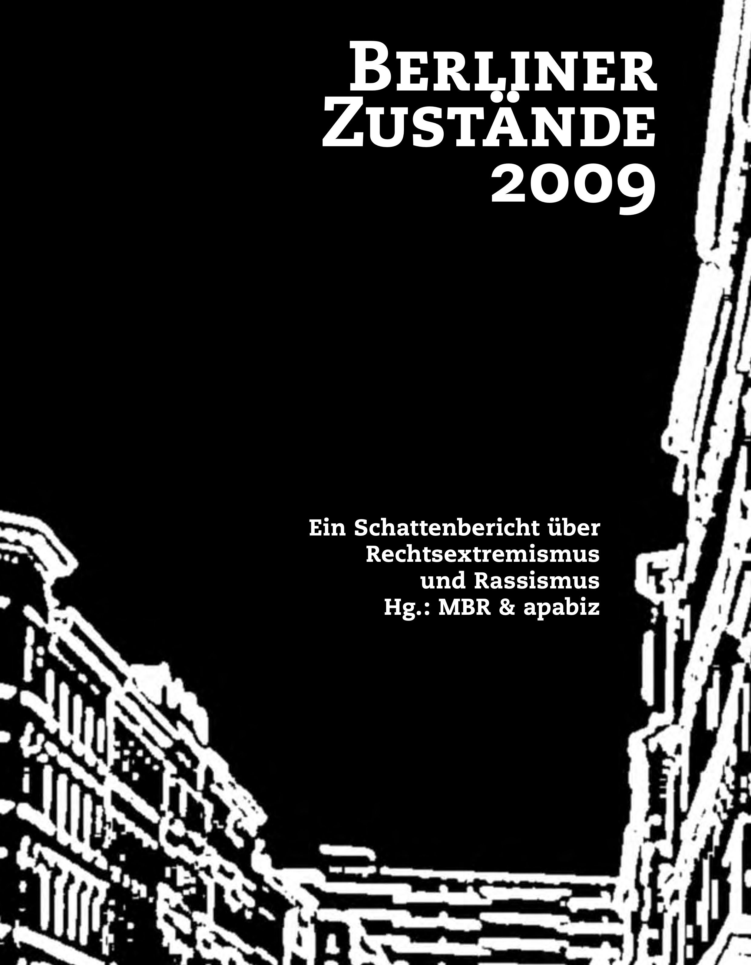 Schattenbericht 2009 (2010)