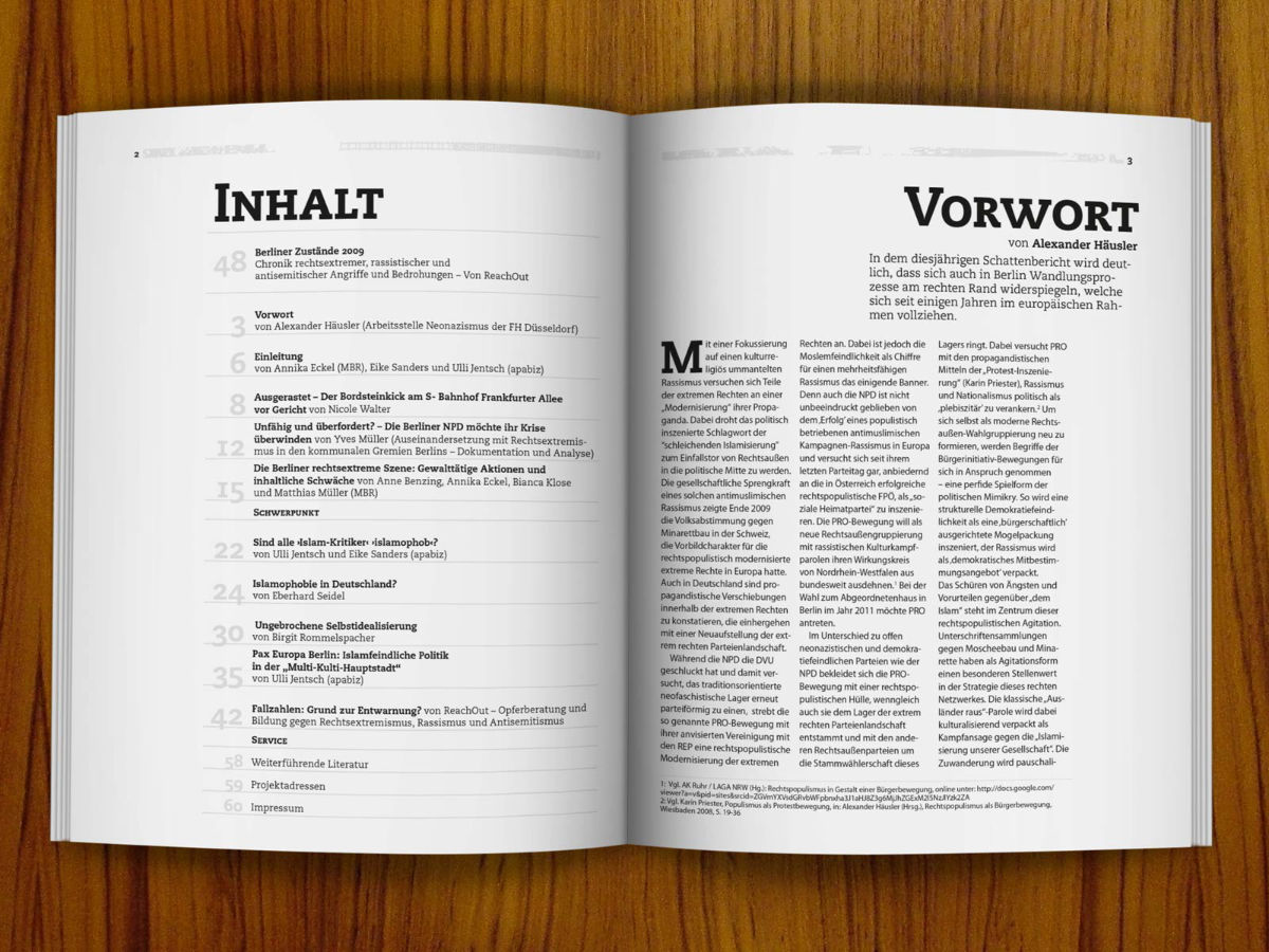 Schattenbericht 2009 (2010)